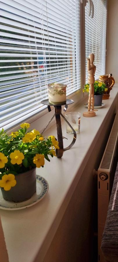 Mountain Village Apartment Pinewood *** Vyšné Ružbachy المظهر الخارجي الصورة